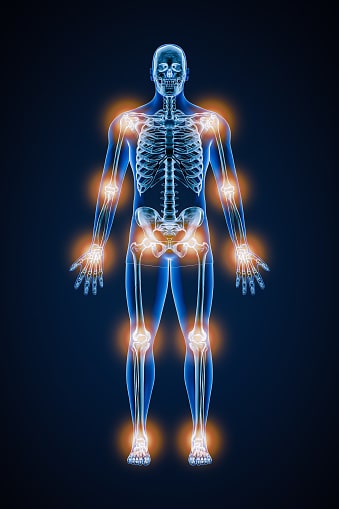 Journée d&rsquo;animation sur le confort articulaire et musculaire le 16 octobre 2026
